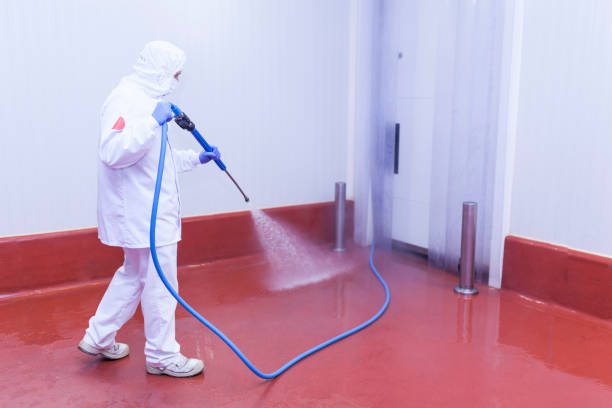 Best Patio and Deck Pressure Washing  in Ilchester, MD